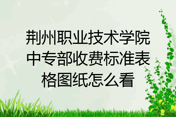 荆州职业技术学院中专部收费标准表格图纸怎么看