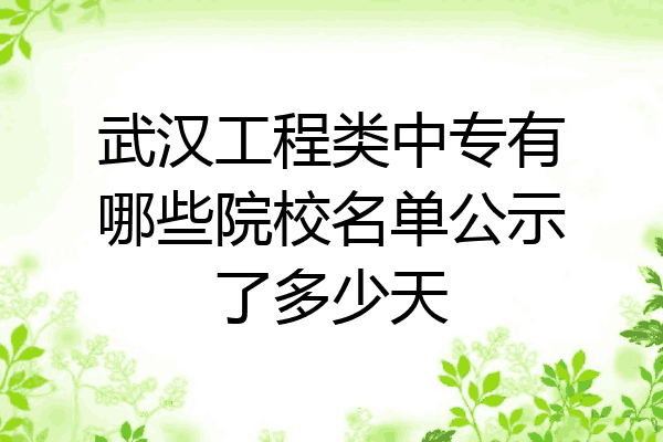 武汉工程类中专有哪些院校名单公示了多少天