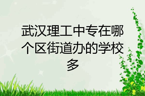 武汉理工中专在哪个区街道办的学校多