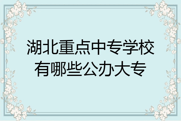 湖北重点中专学校有哪些公办大专