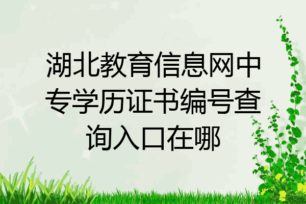 湖北教育信息网中专学历证书编号查询入口在哪