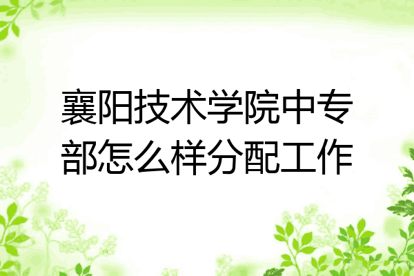襄阳技术学院中专部怎么样分配工作