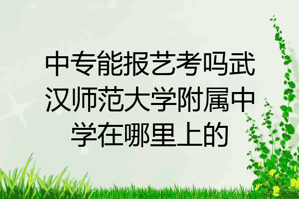 中专能报艺考吗武汉师范大学附属中学在哪里上的