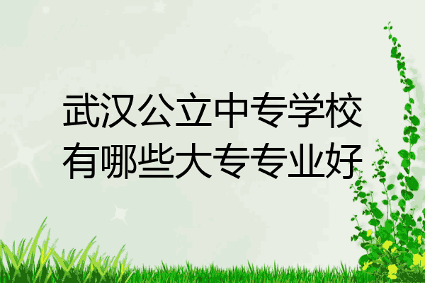 武汉公立中专学校有哪些大专专业好