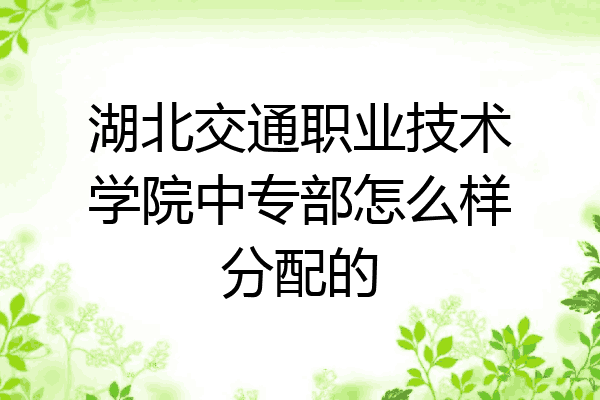 湖北交通职业技术学院中专部怎么样分配的