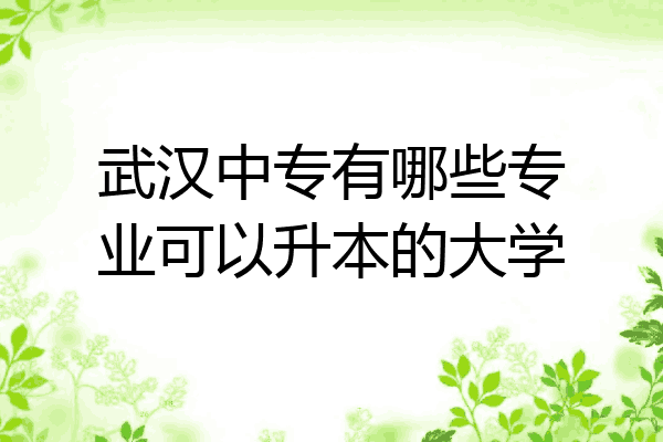 武汉中专有哪些专业可以升本的大学