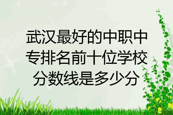 武汉最好的中职中专排名前十位学校分数线是多少分