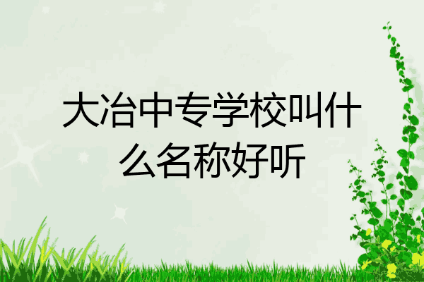 大冶中专学校叫什么名称好听