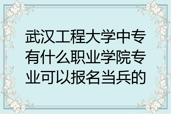 武汉工程大学中专有什么职业学院专业可以报名当兵的