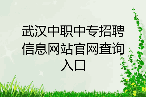 武汉中职中专招聘信息网站官网查询入口