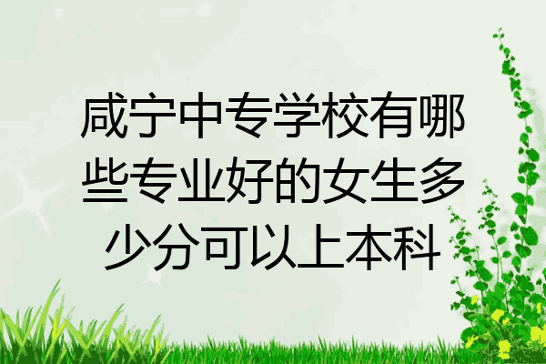 咸宁中专学校有哪些专业好的女生多少分可以上本科