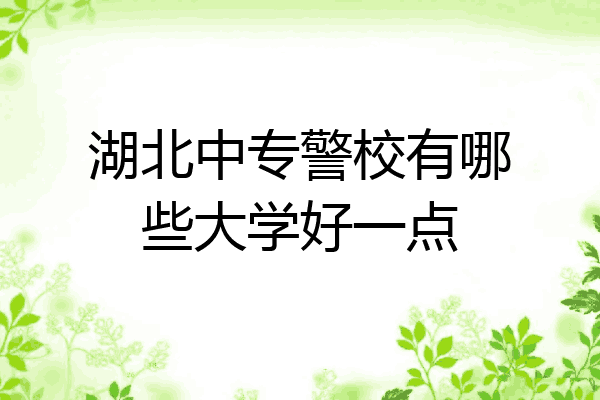 湖北中专警校有哪些大学好一点
