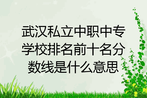武汉私立中职中专学校排名前十名分数线是什么意思