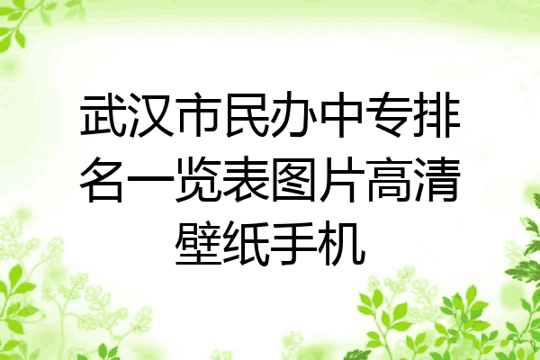 武汉市民办中专排名一览表图片高清壁纸手机