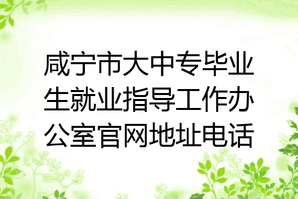 咸宁市大中专毕业生就业指导工作办公室官网地址电话