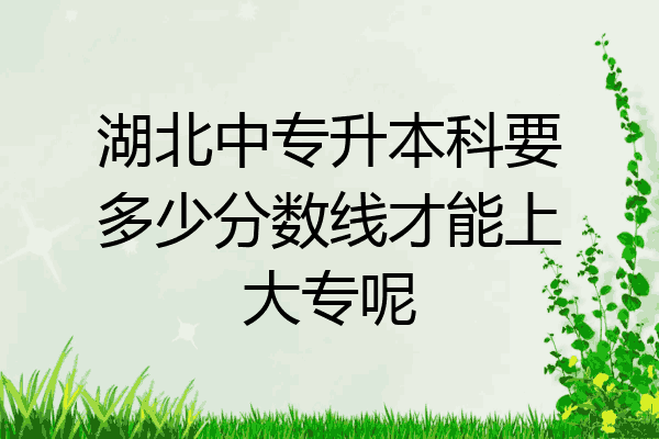 湖北中专升本科要多少分数线才能上大专呢