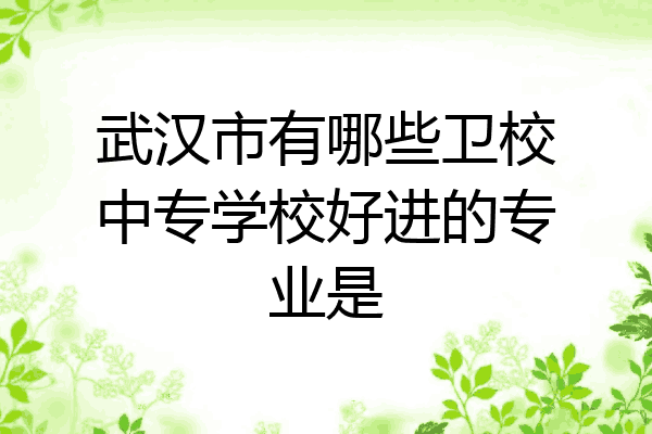 武汉市有哪些卫校中专学校好进的专业是