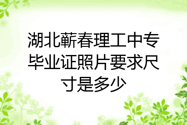 湖北蕲春理工中专毕业证照片要求尺寸是多少