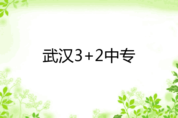 武汉3+2中专