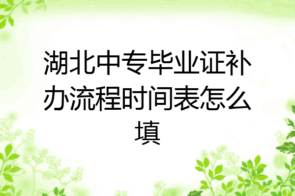 湖北中专毕业证补办流程时间表怎么填