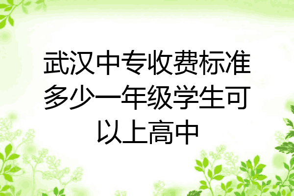 武汉中专收费标准多少一年级学生可以上高中