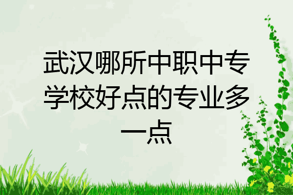 武汉哪所中职中专学校好点的专业多一点