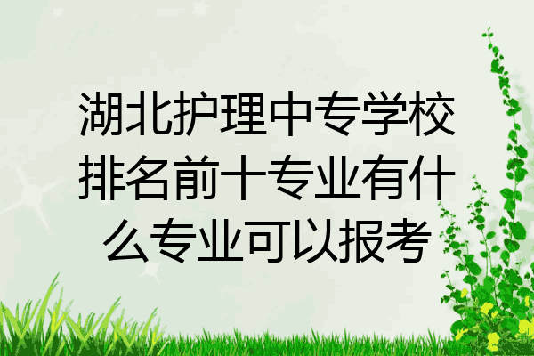 湖北护理中专学校排名前十专业有什么专业可以报考