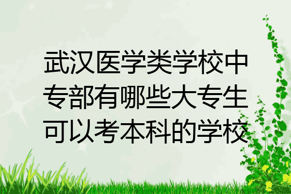 武汉医学类学校中专部有哪些大专生可以考本科的学校