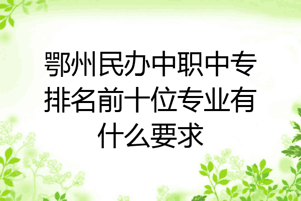 鄂州民办中职中专排名前十位专业有什么要求