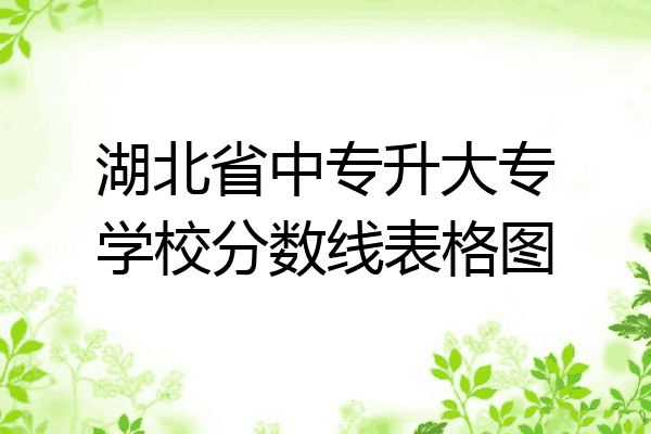 湖北省中专升大专学校分数线表格图
