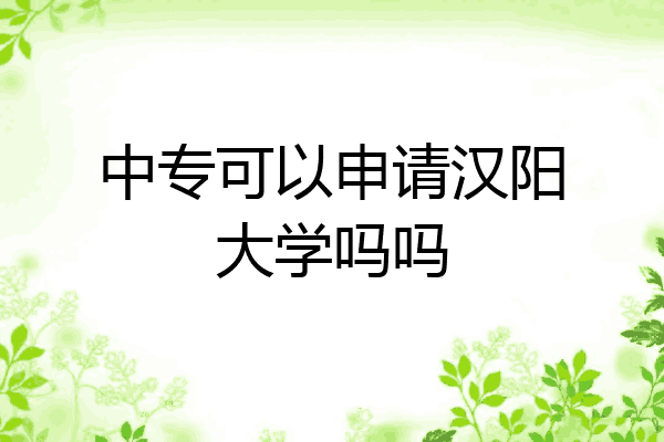 中专可以申请汉阳大学吗吗