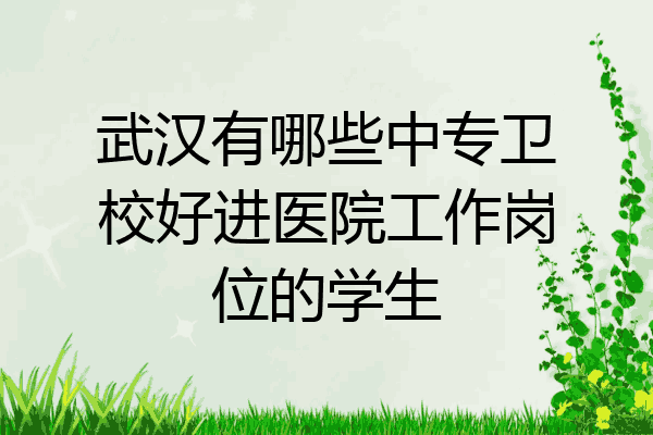 武汉有哪些中专卫校好进医院工作岗位的学生