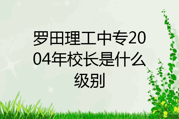 罗田理工中专2004年校长是什么级别
