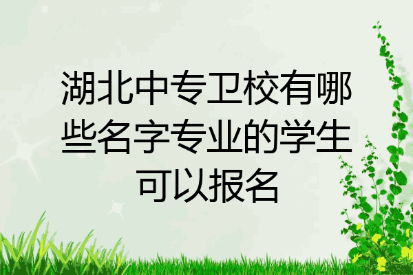 湖北中专卫校有哪些名字专业的学生可以报名