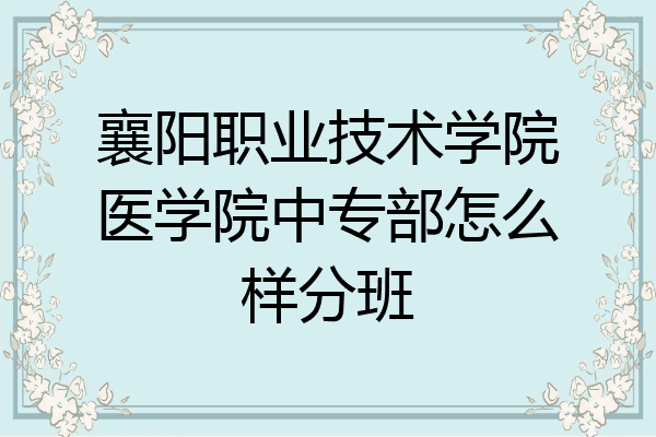 襄阳职业技术学院医学院中专部怎么样分班