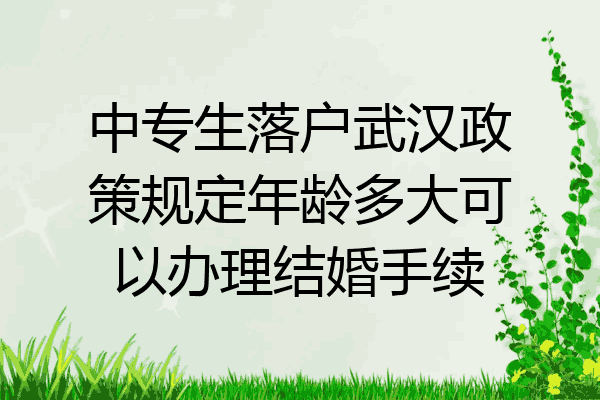 中专生落户武汉政策规定年龄多大可以办理结婚手续