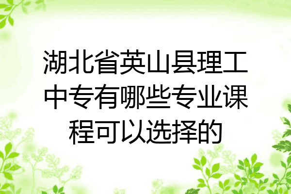 湖北省英山县理工中专有哪些专业课程可以选择的