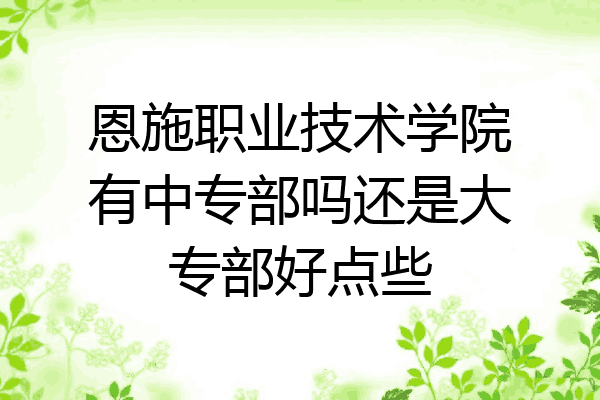 恩施职业技术学院有中专部吗还是大专部好点些
