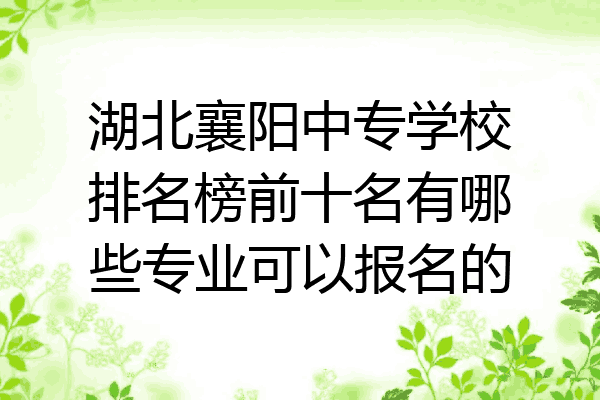 湖北襄阳中专学校排名榜前十名有哪些专业可以报名的