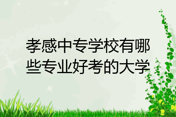 孝感中专学校有哪些专业好考的大学