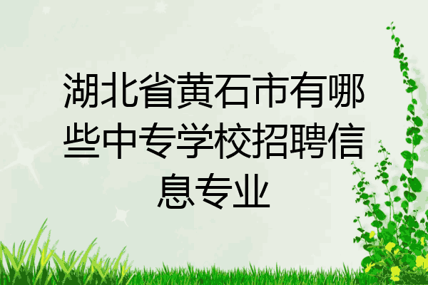 湖北省黄石市有哪些中专学校招聘信息专业