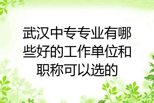 武汉中专专业有哪些好的工作单位和职称可以选的