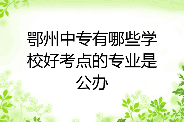 鄂州中专有哪些学校好考点的专业是公办