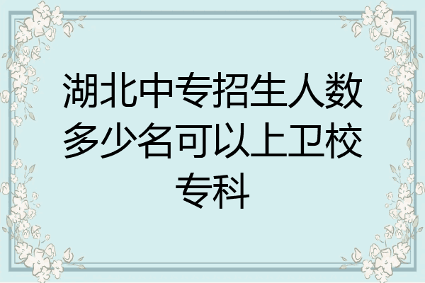 湖北中专招生人数多少名可以上卫校专科