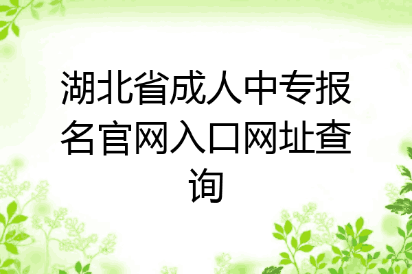 湖北省成人中专报名官网入口网址查询