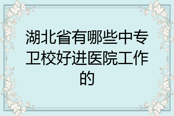 湖北省有哪些中专卫校好进医院工作的