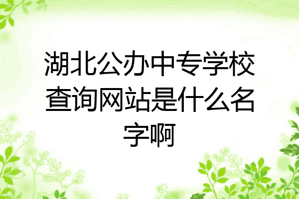 湖北公办中专学校查询网站是什么名字啊