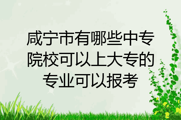 咸宁市有哪些中专院校可以上大专的专业可以报考
