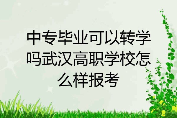 中专毕业可以转学吗武汉高职学校怎么样报考