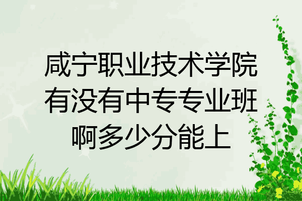 咸宁职业技术学院有没有中专专业班啊多少分能上